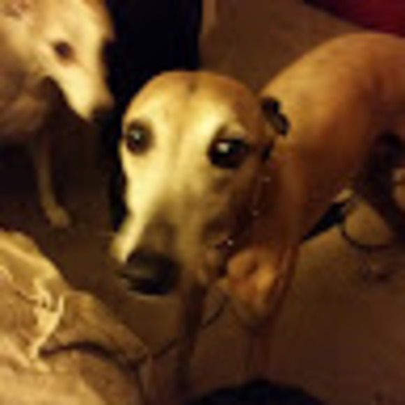 Meet your Posher, Kevin - Picture 1 of 1